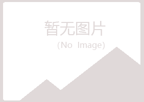 江岸区从寒化学有限公司